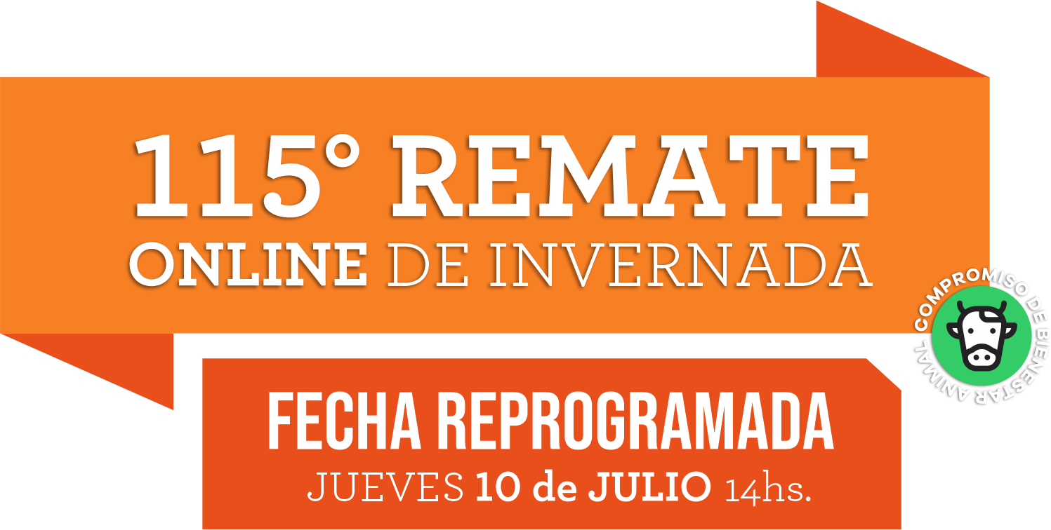REMATE 15 2